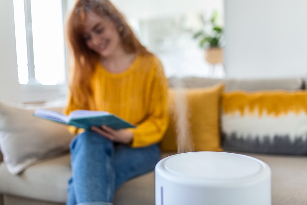 What Are the Various Types of Humidifiers?